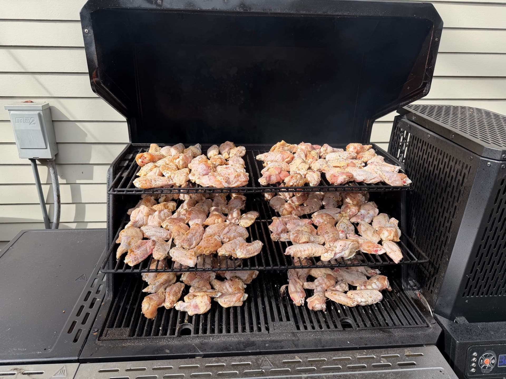 Mardi Gras Day Wings